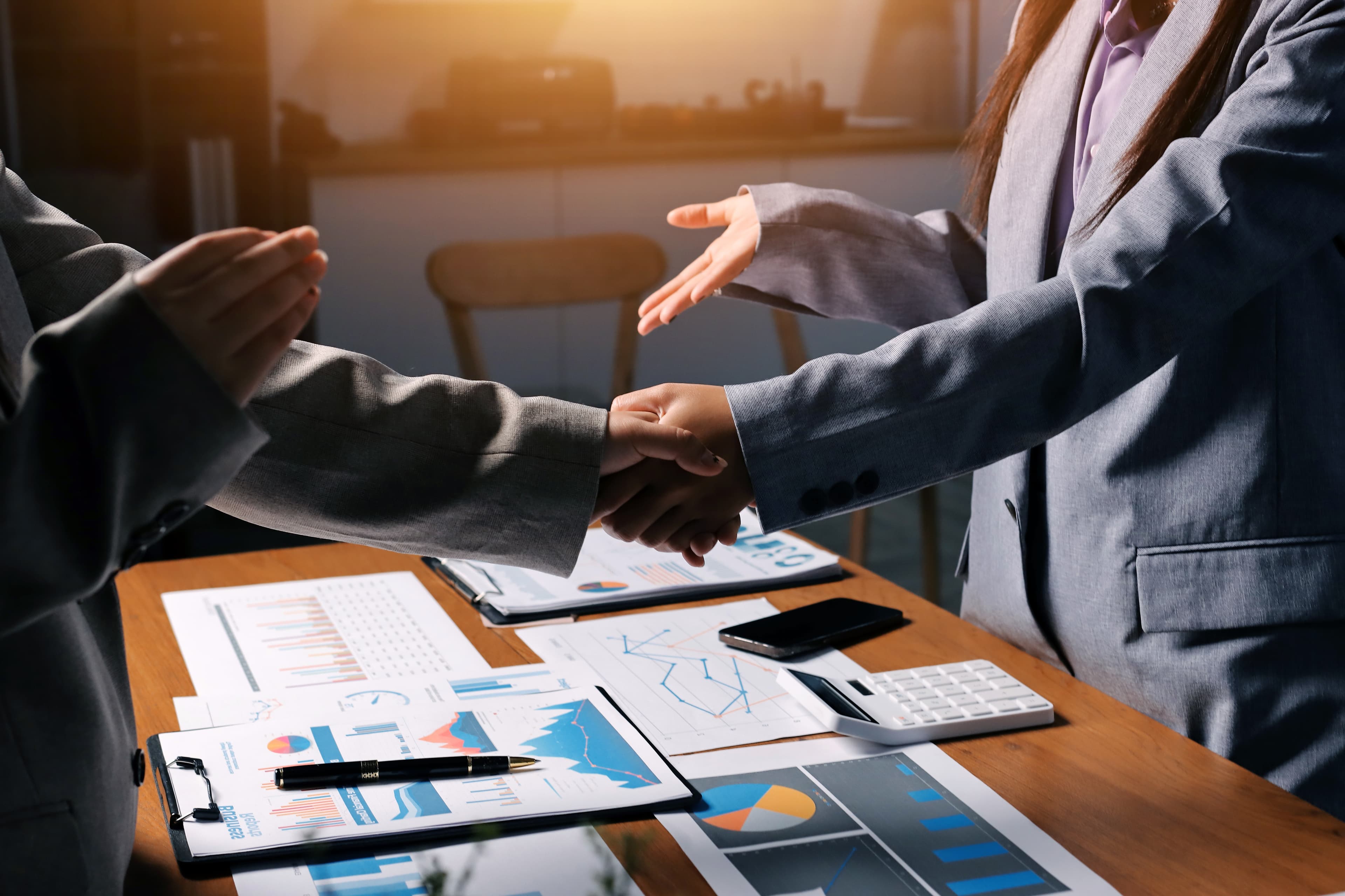 Merger Control & Review